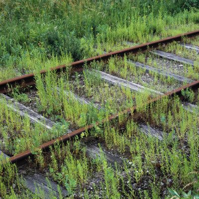 Abandoned Railway Tracks by Mikael Andersson Pricing Limited Edition Print image