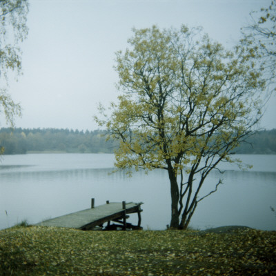 A Lake In Autumn by Malin Gezelius Pricing Limited Edition Print image