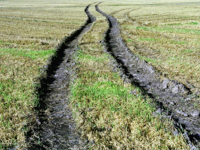 Rut On A Grassy Field by Bengt Oberg Pricing Limited Edition Print image