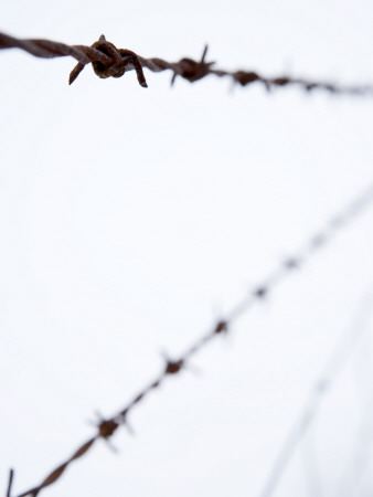 Barbed Wire by Atli Mar Pricing Limited Edition Print image