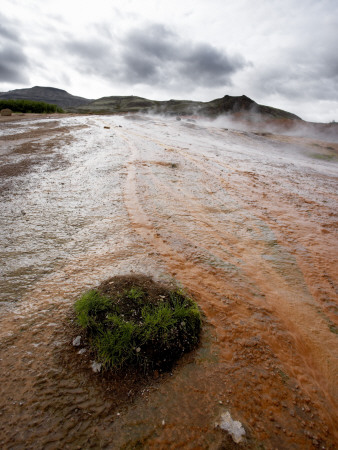 A Grassy Tussock In A Muddy Geyser Area, Iceland by Atli Mar Hafsteinsson Pricing Limited Edition Print image