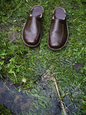 A Pair Of Shoes In Soggy Grass By A Creek by Jann Lipka Pricing Limited Edition Print image