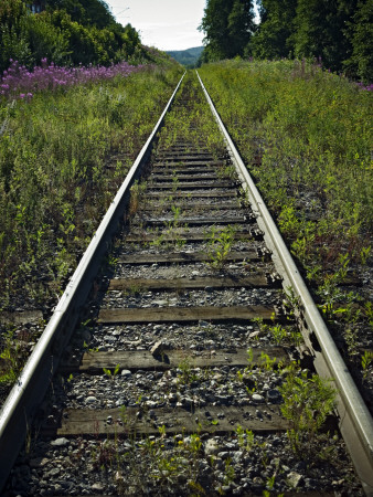 Train Tracks And Trees by Jann Lipka Pricing Limited Edition Print image