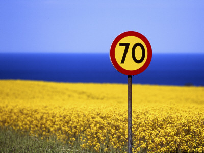Speed Limit Sign In A Field by Jorgen Larsson Pricing Limited Edition Print image