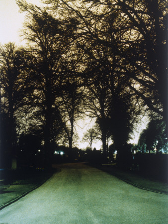 A Road And Bare Trees by Johan Hedenstrom Pricing Limited Edition Print image