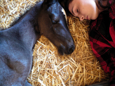 Nap, Together by Krystal South Pricing Limited Edition Print image