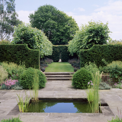 View From The Rill Garden Along The Lime Avenue Wollerton Old Hall, Shropshire by Clive Nichols Pricing Limited Edition Print image