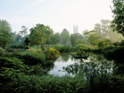 Oxford Botanic Garden: Bog Garden With Gunnera Manicata, Wooden Bridge And Irises by Clive Nichols Pricing Limited Edition Print image