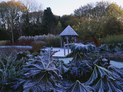 The Summerhouse And Wooden Bridge Across The Pool In Winter With Cornus And Gunnera Manicata by Clive Nichols Pricing Limited Edition Print image