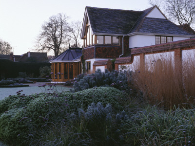 Frosty Border In Front Of The House With Verbena Bonariensis, Euphorbia 'Wulfenii' And Hebe by Clive Nichols Pricing Limited Edition Print image