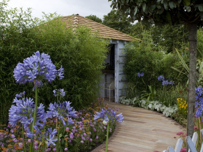 The Croft Spot Secret Garden, 2008 Hampton Court Flower Show, England, Designer: David Domoney by G Jackson Pricing Limited Edition Print image