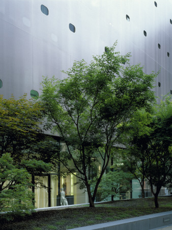 Funf Hofe, Munich Germany, Trees And Window Figure, Architect: Herzog De Meuron by James Balston Pricing Limited Edition Print image