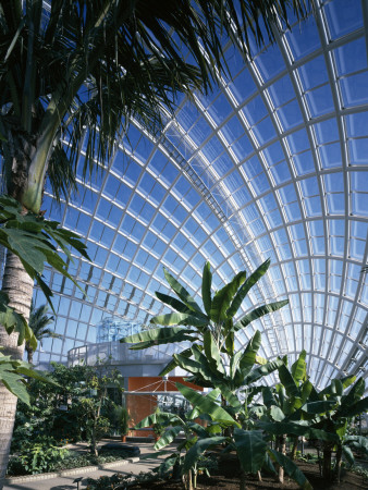 Museum Of Fruit, Yamanashi, West Tokyo, 1996, Interior Showing Planting, Architect: Itsuko Hasegawa by John Edward Linden Pricing Limited Edition Print image