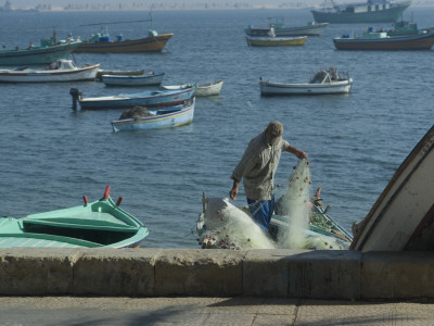 Fisherman, Alexandria, Cairo by Natalie Tepper Pricing Limited Edition Print image