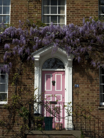 Wisteria On Kew Green, Kew, Greater London by Natalie Tepper Pricing Limited Edition Print image