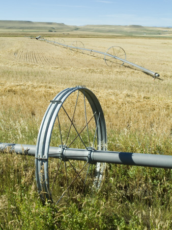 Wheat Fields, Montana, Usa by Natalie Tepper Pricing Limited Edition Print image