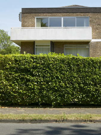 Housing, Weybridge, Surrey, Cantilevered Balcony And Hedge by Tim Mitchell Pricing Limited Edition Print image