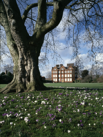 Kew Palace, Exterior From Garden by Richard Turpin Pricing Limited Edition Print image