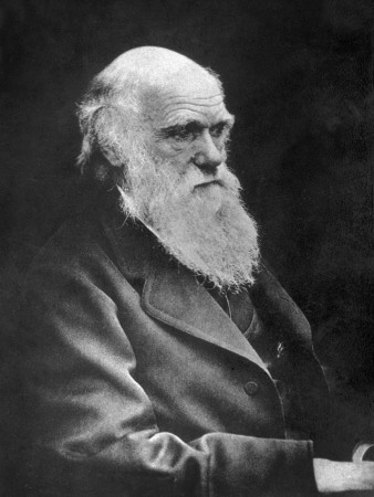 Charles Darwin by Spencer Arnold Pricing Limited Edition Print image