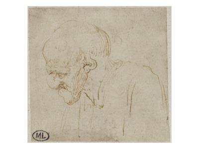 Homme En Buste, La Tête Penchée En Avant by Léonard De Vinci Pricing Limited Edition Print image