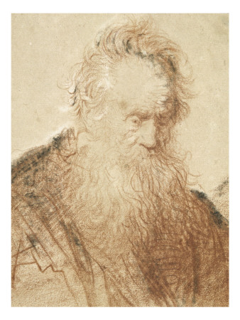 Tête D'un Vieillard by Rembrandt Van Rijn Pricing Limited Edition Print image