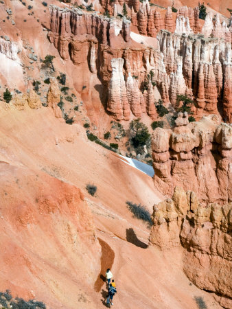 Family Hiking Bryce Amphitheater, Bryce Canyon National Park, Utah, Usa by Michael Defreitas Pricing Limited Edition Print image