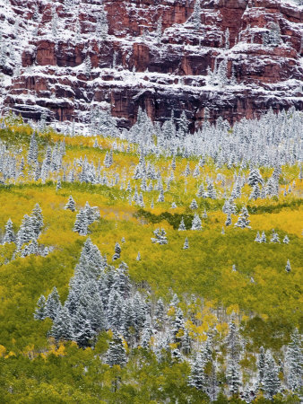 First Snow Over The Red Cliffs, Colorado, Usa by Terry Eggers Pricing Limited Edition Print image