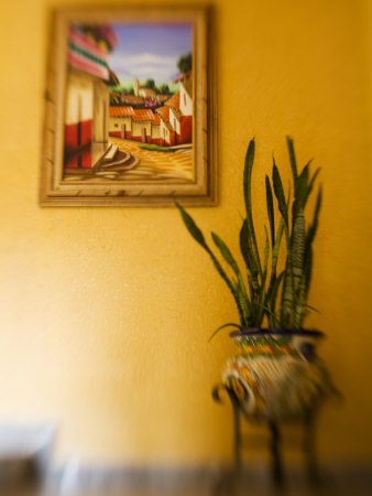 Las Golondrinas Hotel, Playa De Carmen, Quintana Roo, Mexico by Julie Eggers Pricing Limited Edition Print image