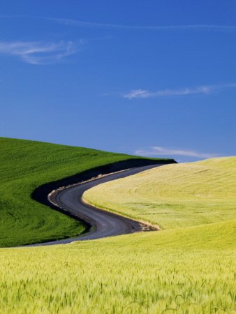 Spring And Winter Wheat Fields, Palouse Country, Washington, Usa by Terry Eggers Pricing Limited Edition Print image