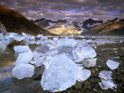 Stranded Icebergs At Low Tide, Lamplugh Glacier, Glacier Bay National Park, Alaska, Usa by Jon Cornforth Pricing Limited Edition Print image