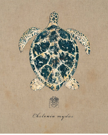 Vintage Linen Tortoise by Regina-Andrew Design Pricing Limited Edition Print image