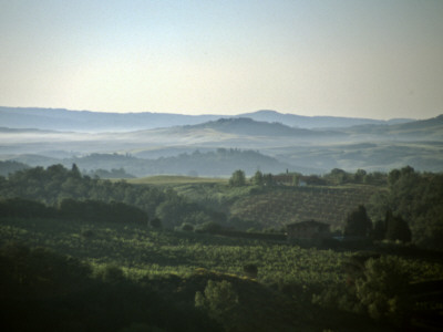 Tuscan Landscape by Eloise Patrick Pricing Limited Edition Print image