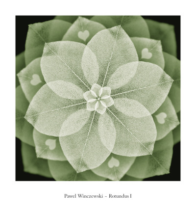 Rotundus I by Pawel Winczewski Pricing Limited Edition Print image