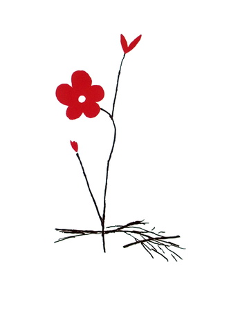 Red Flower by Aki Kuroda Pricing Limited Edition Print image