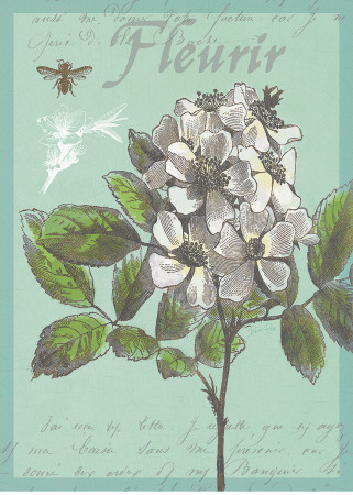 Fleurir Nouveau by Devon Ross Pricing Limited Edition Print image