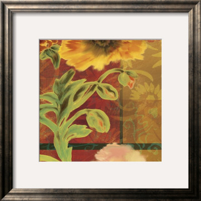 Kaleidoscope Ii by Tandi Venter Pricing Limited Edition Print image
