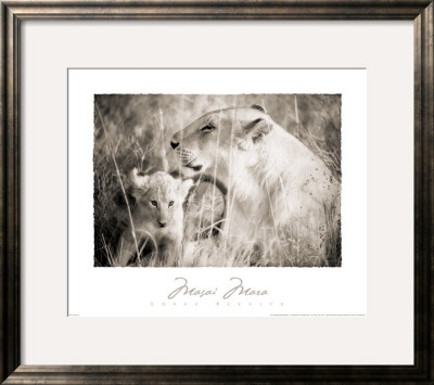 Masai Mara Ii by Lorne Resnick Pricing Limited Edition Print image
