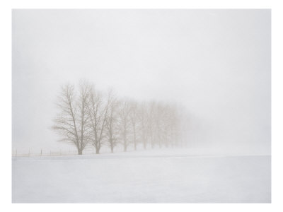 White Fog No. 3 by Stan Shire Pricing Limited Edition Print image