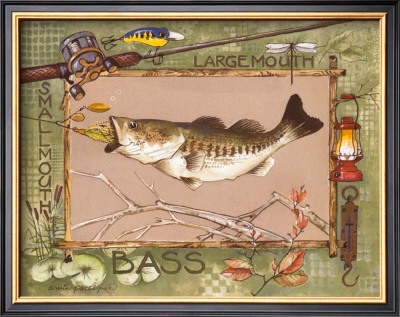 Large Mouth Bass by Anita Phillips Pricing Limited Edition Print image