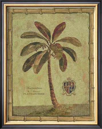 Caribbean Palm Iv by Betty Whiteaker Pricing Limited Edition Print image