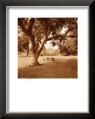 Arboretum by Sondra Wampler Pricing Limited Edition Print image