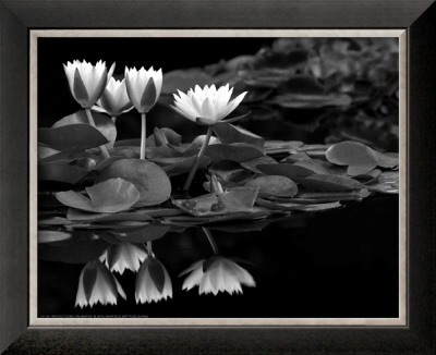 Reflections On Water by Dennis Frates Pricing Limited Edition Print image