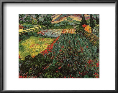 Field Of Poppies, Saint-Remy, C.1889 by Vincent Van Gogh Pricing Limited Edition Print image