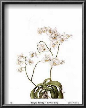 Simply Spring I by Barbara Long Pricing Limited Edition Print image
