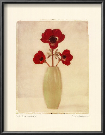 Red Anemones Iv by Amy Melious Pricing Limited Edition Print image