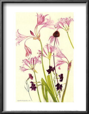 Crinum Nerine And Autumn Flowers by Elizabeth Blackadder Pricing Limited Edition Print image