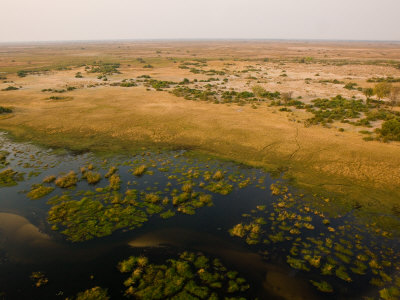 Aerial View Of Duba Plains, With Arid And Wet Areas by Beverly Joubert Pricing Limited Edition Print image