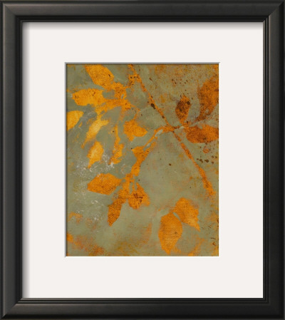 Water Garden Ii by Lanie Loreth Pricing Limited Edition Print image