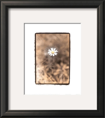 Wildflower Ii by Troy Kendal Pricing Limited Edition Print image