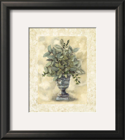 Elegant Foliage Ii by Charlene Winter Olson Pricing Limited Edition Print image